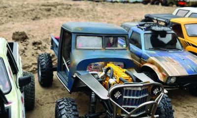 One Wild Willys