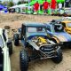 One Wild Willys