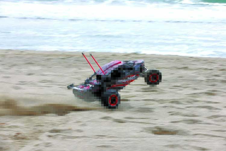 Traxxas Pro Scale Sand Rail